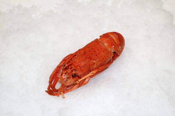 Frozen Whole Cooked Crayfish